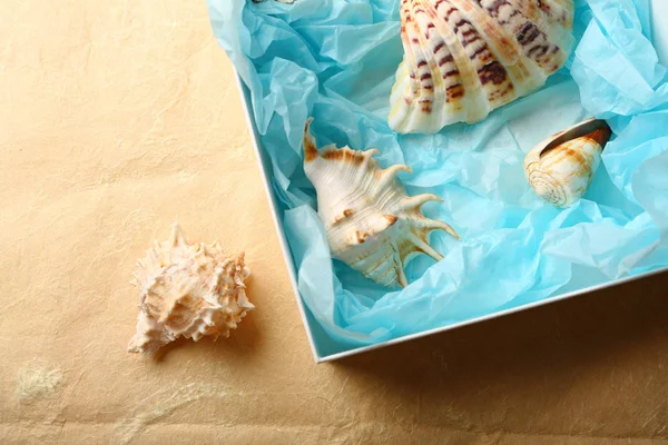 Tropical concept with seashells — Stock Photo, Image