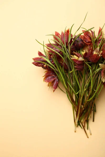 Fritillaria květiny na papírové pozadí — Stock fotografie