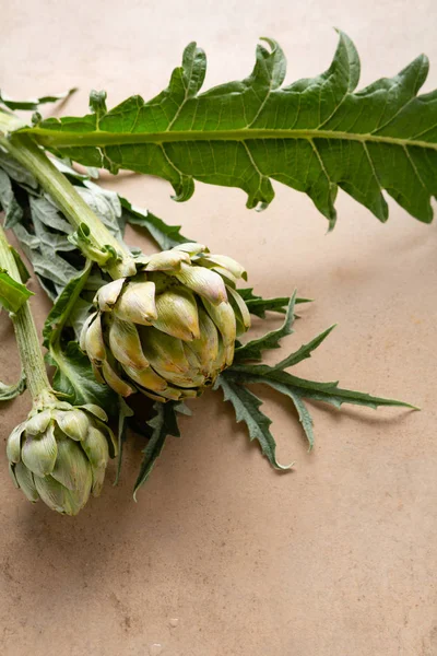 Fresh green artichoke plants on background — Stock Photo, Image