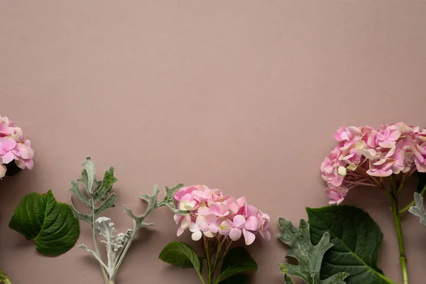 Rosa blühende Hortensien Blumen auf Papier Hintergrund — Stockfoto