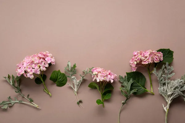 Zweige der rosa Hortensie von oben — Stockfoto