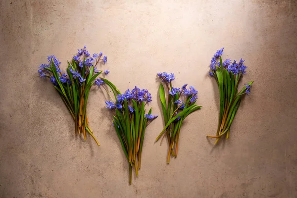 Пори Року Весняні Квіти Бежевій Поверхні — стокове фото