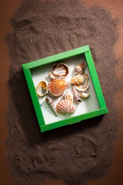 Various Seashells Box Brown Sand — Stock Photo, Image