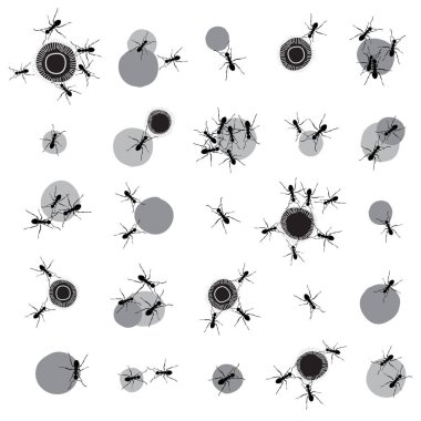 Karıncalar Takım Tasarımı. Siyah, Gri ve Beyaz