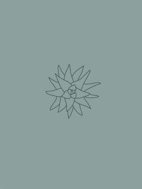 Modern ve Minimalist Enfes Aloe Vera Vector Line Art in Green and Mint