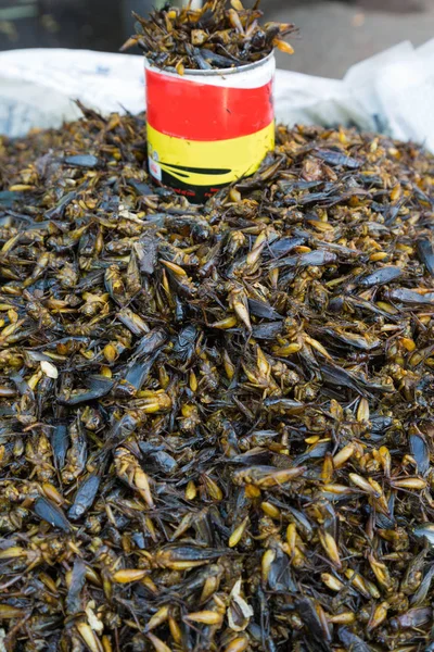 Fried böcek, Myanmar — Stok fotoğraf