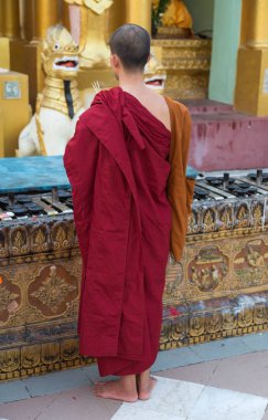 Budist keşiş dua ediyor.