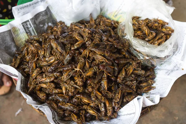 食品、ミャンマーの昆虫 — ストック写真