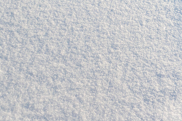 Snowy surface backlit. Fresh snow as a winter background.