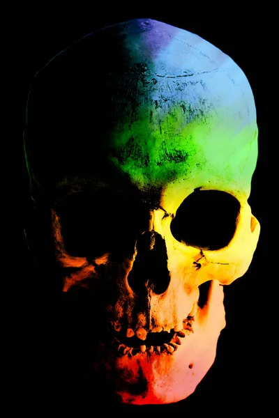 Людський череп у веселкових кольорах. Ілюстрація . — стокове фото