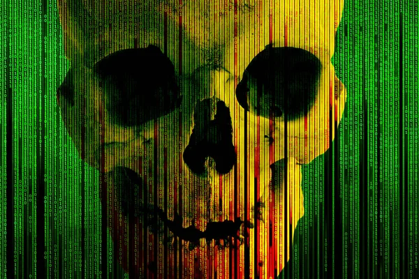 A contrasting human skull on a bright green background from a bi — 스톡 사진