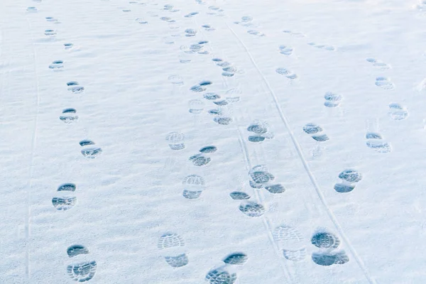 Pêche Hiver Nombreuses Traces Pêcheurs Sur Glace Rivière Hiver — Photo