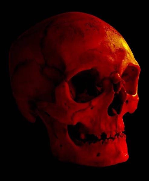 Human Skull Illuminated Dramatic Red Light Isolated Black Background — Stock Photo, Image