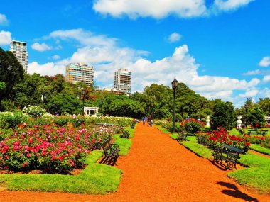 Buenos Aires, Arjantin - Tres de Febrero Park 'taki Palermo bölgesindeki Rosedal Parkı.