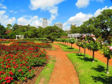 Buenos Aires, Arjantin - Tres de Febrero Park 'taki Palermo bölgesindeki Rosedal Parkı.