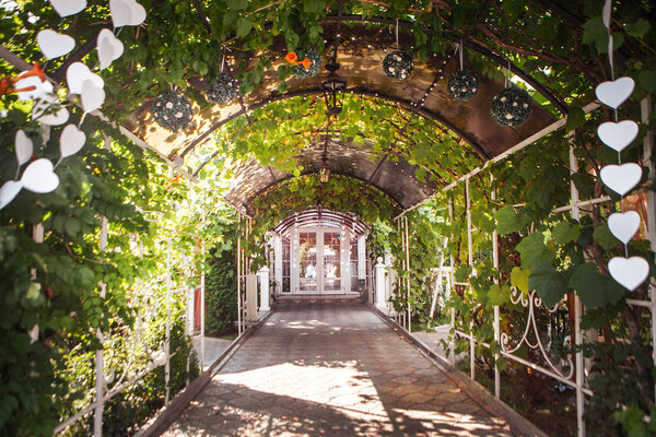 Арка в саду из дерева и винограда
