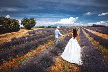 Gelin ve damat lavanta alanında