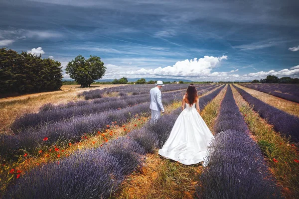 Bruid en bruidegom op het gebied van lavendel — Stockfoto