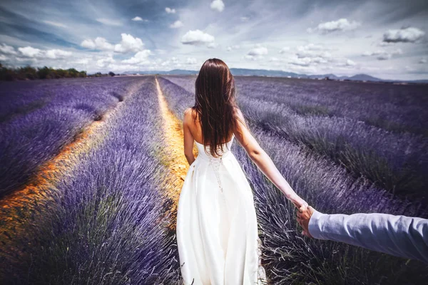 Noiva no campo da lavanda segura a mão do noivo — Fotografia de Stock