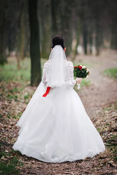 新娘的面纱与她回来站在一起 — 图库照片