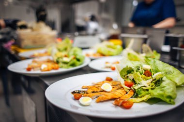 taze salata yeşillikleri, yumurta, domates ve tavuk ile