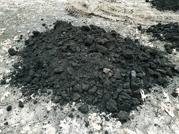 Terre Noire Empilée Pour Planter Des Arbres — Photo