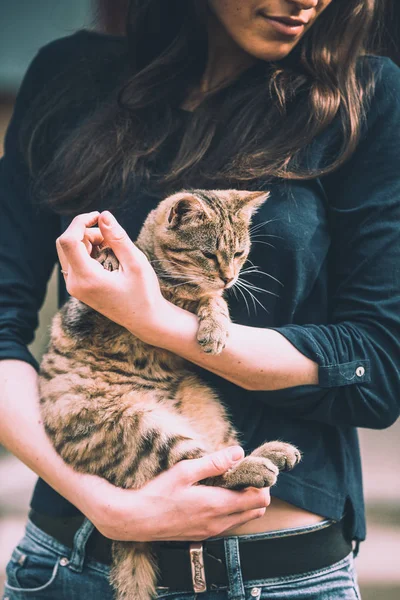 Menina Está Segurando Listrado Gato Suas Mãos — Fotografia de Stock