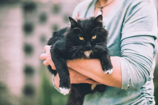 Мужчина Держит Руках Черную Кошку — стоковое фото