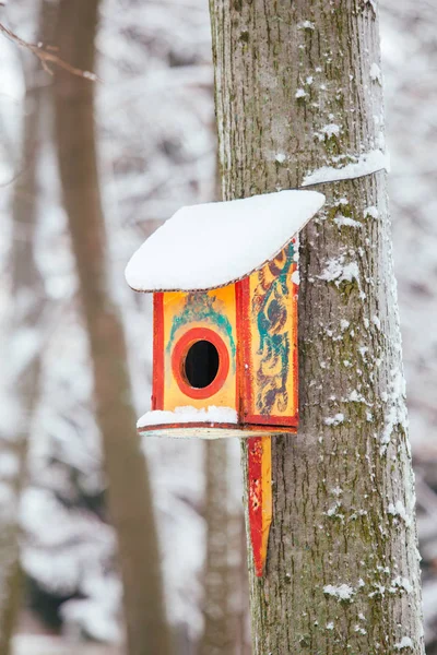 公園の木にぶら下がっている鳥のためのカラフルな家 — ストック写真