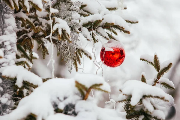 Árbol Navidad Está Decorado Con Una Bola Roja Guirnalda —  Fotos de Stock