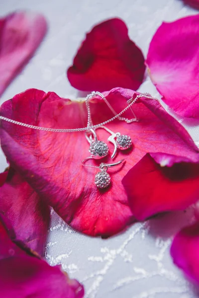 Set Necklace Earrings Crystals Lay Rose Petal — Stock Photo, Image