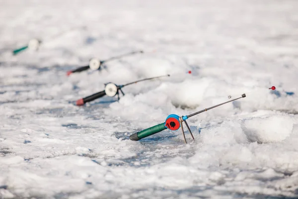 fishman puts the fishing rods on the ice of the river in the winter