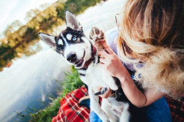 Yaz aylarında Nehri yakınında kız elinde Husky siyah ve beyaz renk farklı göz rengi ve yükseltilmiş pençe ile oturur
