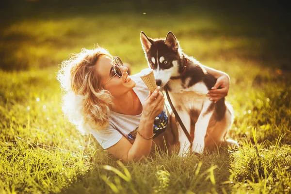 Una Pequeña Husky Sienta Prado Cerca Chica Mira Helado Sus — Foto de Stock