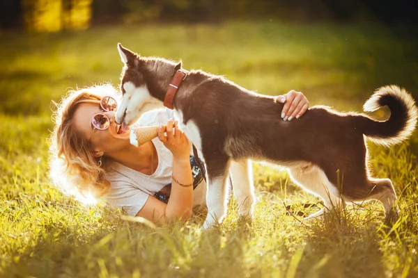 Mały Husky Liże Radosny Blondynka Okularach Lodami Jej Rękach Latem — Zdjęcie stockowe