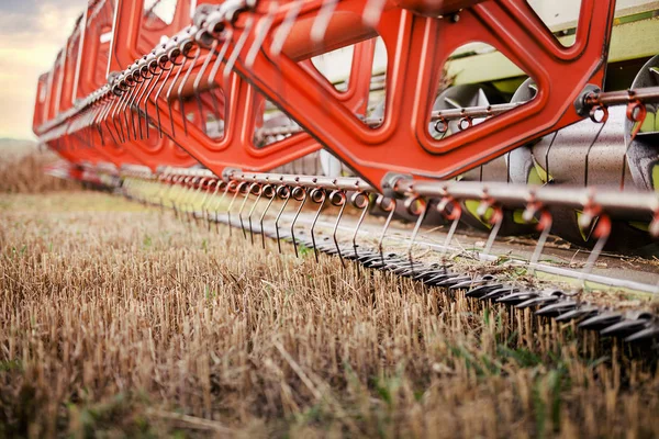 Buğday Tarlası Hasat Mevsimi — Stok fotoğraf