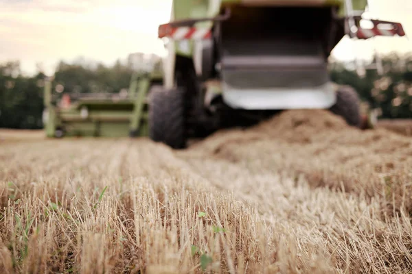 Blurred Kombinasi Dengan Wheat Latar Belakang — Stok Foto