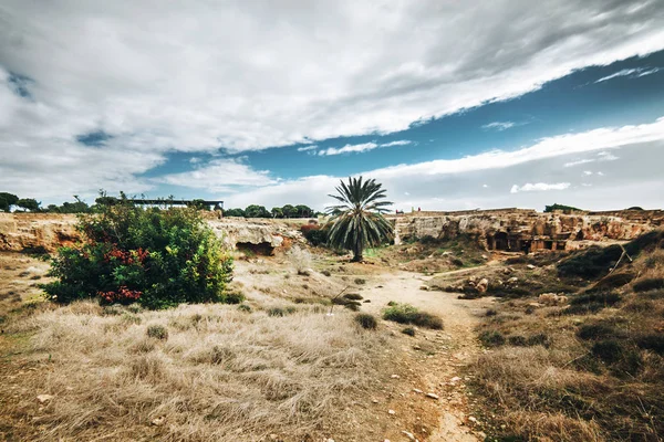 Cyprus岛上有漂亮的保卫公园 — 图库照片