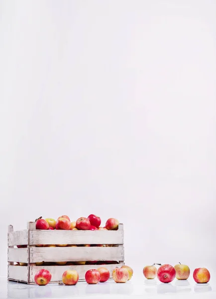 リンゴの入った白い箱が白い背景に立っています — ストック写真