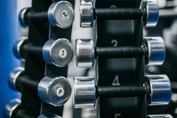 Dumbbells Close Gym Girls — Stock Photo, Image