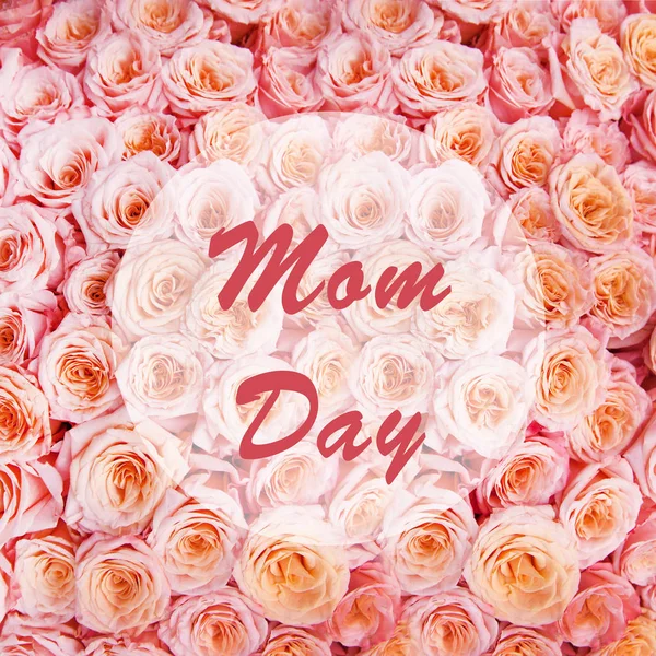 Congratulations Mother Day Square Leaflet Background Flowers — Stock Photo, Image