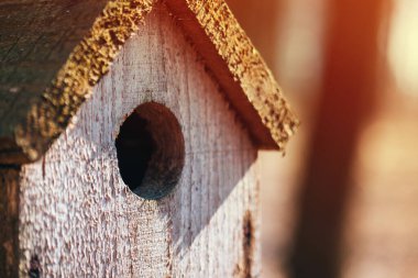 Ormandaki ağaçta asılı sarı işaret fişeği olan kuş evi.