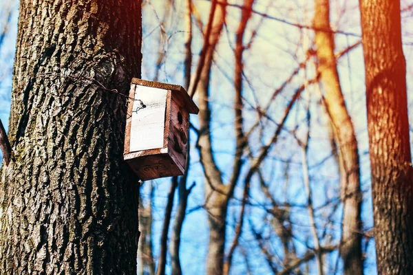 森の中の木に吊るされた古いバードハウス — ストック写真