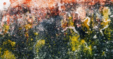 Evin üzerinde küf ve yosun dokusu var.