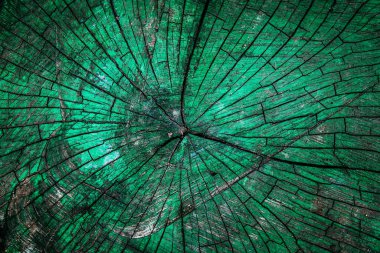 Kesik eski ahşap dokusu