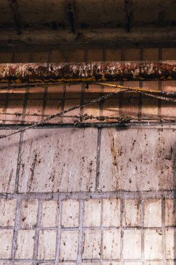 Duvardaki güvercinlerin kuş pislikleri.