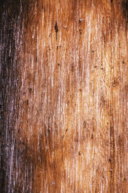 Duvardaki kuş dışkısının dokusu