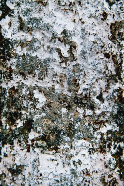 Metal üzerindeki soyulmuş boyanın dokusu