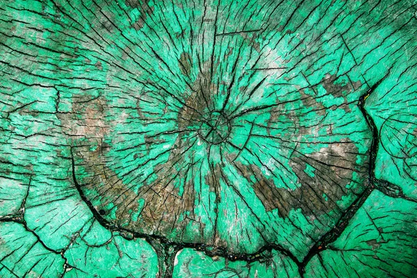 Текстура Фон Вырубленного Старого Дерева — стоковое фото