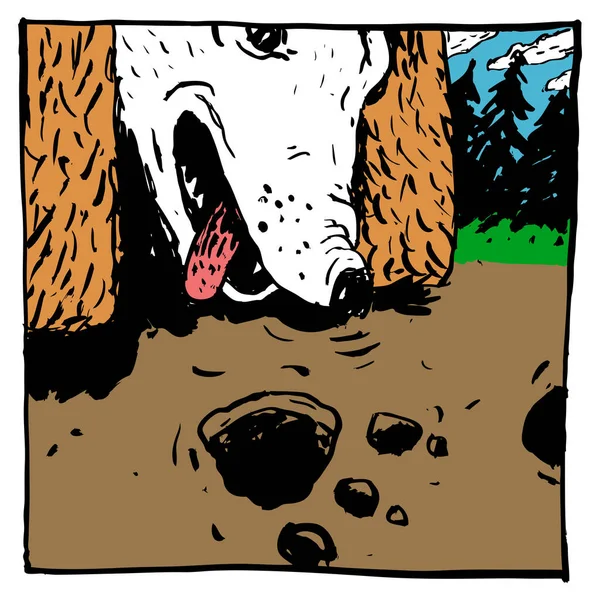 Bild Hund Som Hittade Ett Spår Skogen Spaniel Färg Illustration — Stock vektor